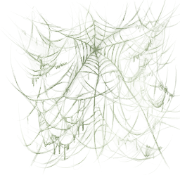 蜘蛛网 - 图片 1